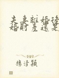 夫妻离婚后再复婚财产还是夫妻共同的吗
