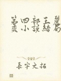 第四部王丽娟张爽小说结局