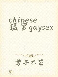 chinese猛男gaysex