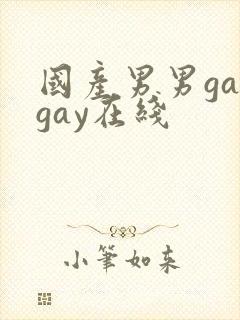 国产男男gaygay在线