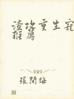 渣攻重生宠受文推荐