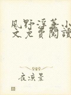 风野浮华小说全文免费阅读封面