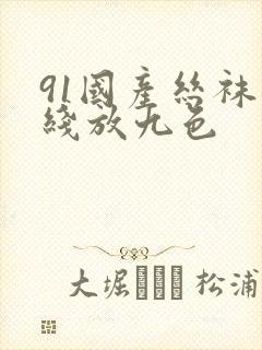 91国产丝袜在线放九色