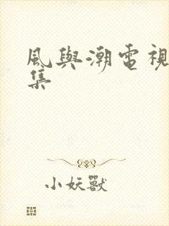 风与潮电视剧9集