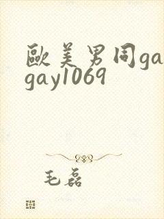 欧美男同gaygay1069