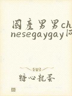国产男男chinesegaygay网站