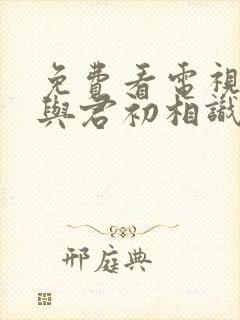 免费看电视剧《与君初相识》