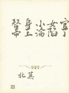 替身小女官腹黑帝王沦陷了小说