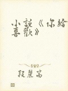 小说《你给我的喜欢》