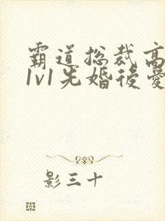 霸道总裁高干文1v1先婚后爱小娇妻