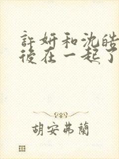 许妍和沈皓明最后在一起了吗封面