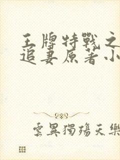 王牌特战之军少追妻原著小说