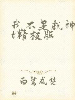 我不是戏神txt精校版