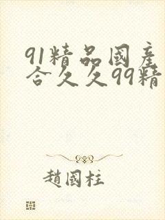 91精品国产综合久久99精品