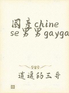 国产chinese男男gaygayvideo