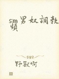 sm男奴调教视频