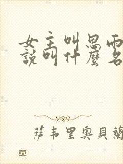 女主叫思雨的小说叫什么名字封面