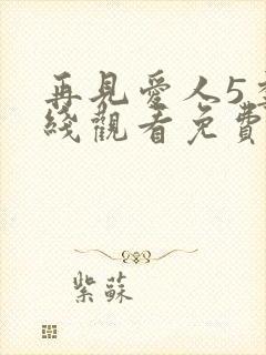 再见爱人5季在线观看免费版高清封面