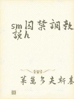 sm囚禁调教小说h封面