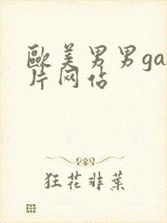 欧美男男gay片网站