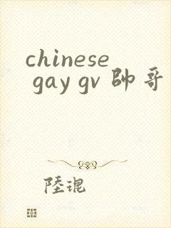 chinese gay gv 帅哥