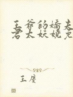 王爷的娇夫:夫君太妖娆免费阅读