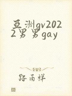 亚洲gv2022男男gay封面