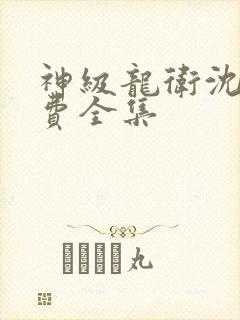 神级龙卫沈浪免费全集