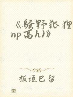 《骚野狐狸精(np高h)》