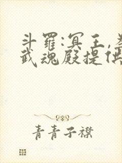 斗罗:冥王,为武魂殿提供神级武魂