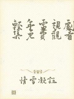 轻年电视剧40集免费观看