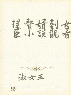 从赘婿到女帝宠臣小说观看