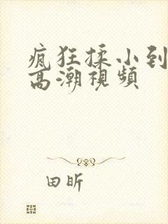 疯狂揉小到失禁高潮视频