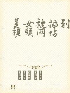 美女被插到爽的视频网站