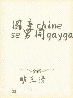 国产chinese男同gaygay网站封面