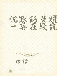 沉默的荣耀最后一集在线观看
