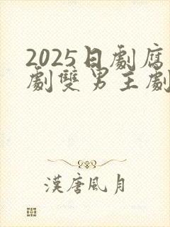 2025日剧腐剧双男主剧