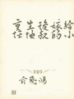 重生后嫁给了前任他叔的小说封面