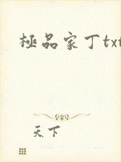 极品家丁txt