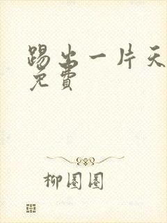 踢出一片天电影免费封面