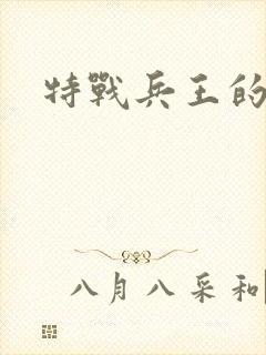 特战兵王的小说