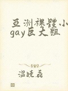 亚洲裸体小鲜肉gay巨大粗