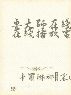 鲁大师在线视频在线播放电视剧