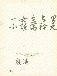 一女主多男主的小说高干文