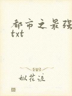 都市之最强仙医txt