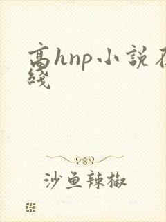 高hnp小说在线