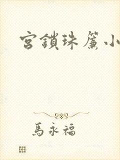 宫锁珠帘小说封面