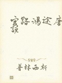 官路鸿途唐正小说封面