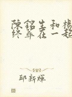 陈铭生和杨昭最终葬在一起了吗