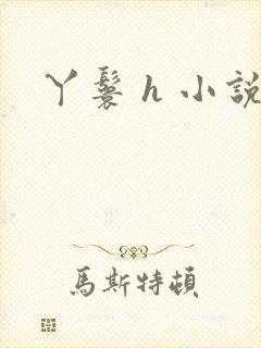 丫鬟 h 小说